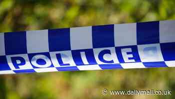 Man dies after being stabbed in neck at Layton Street home in Wentworthville