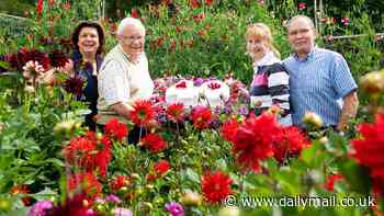 Tributes to Beechgrove Gardener who grew to be a national treasure