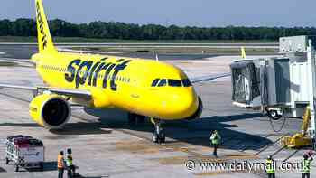 Spirit Airlines passengers freak out after noticing unwanted traveler onboard flight from Dallas to Los Angeles