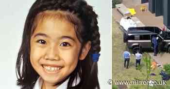 Wimbledon crash: Met Police reopen probe into Land Rover smash that killed two eight-year-old girls