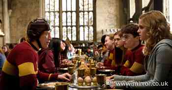 Warner Bros makes promises to fans over new Harry Potter series in latest remake update