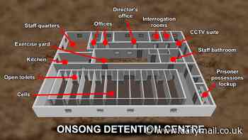 Inside North Korean detention camp where captured defectors face a 'living hell' of rape, torture-induced miscarriages and cruel guards murder newborn babies