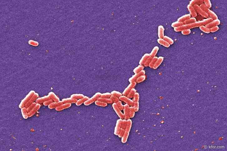 How does Oklahoma test for E. coli? It’s complicated