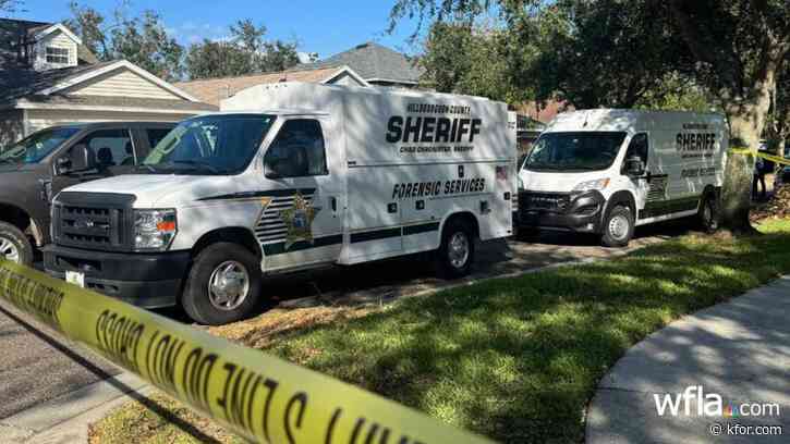 Florida mailman stabs lawncare worker over parking: deputies