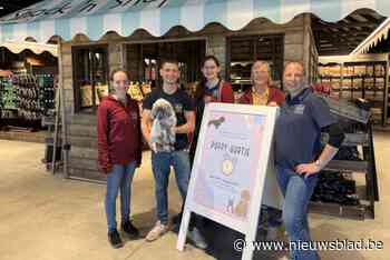 Supermarktketen voor huisdieren zit in de lift: Cats & Dogs  opent in Arendonk al negende filiaal