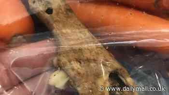 Woolworths NZ shopper's gruesome discovery inside a bag of carrots