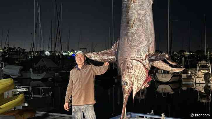 Monster swordfish breaks California record