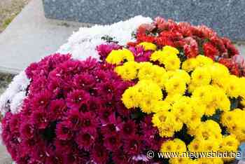 Nieuwe regels rond chrysanten op kerkhof in Houthulst