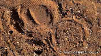 Campers discover mysterious circular footprints around their tent