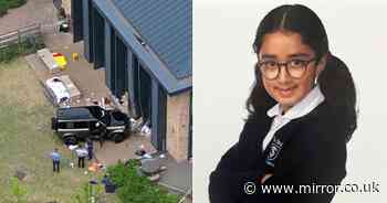 Mum of girl killed in Wimbledon school crash 'had to learn to walk again' after horror smash