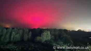 Aurora borea-miss! Delighted skywatcher posts pictures of stunning Northern Lights - only to be told it is the glow from nearby tomato factory