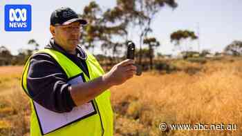 Odour specialist brought to WA's outback to solve mystery of 'rotten egg' stench