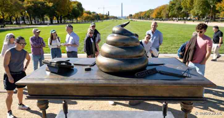 Mystery as turd monument pops up at January 6 site honoring ‘brave’ Capitol rioters