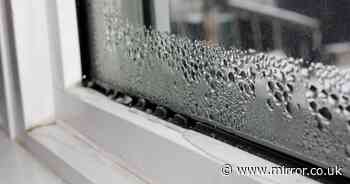 Put bowl of 59p ingredient near your window to rid condensation for good