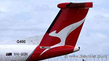 It's no secret Australia's political elite love Qantas - and this could be the real reason why