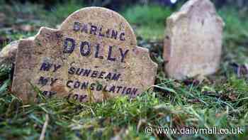 From 'Darling Dolly' to Topper the 'bohemian' police dog: How the world's first pet cemetery was installed in Hyde Park in the 1880s, and now there are hundreds across the world