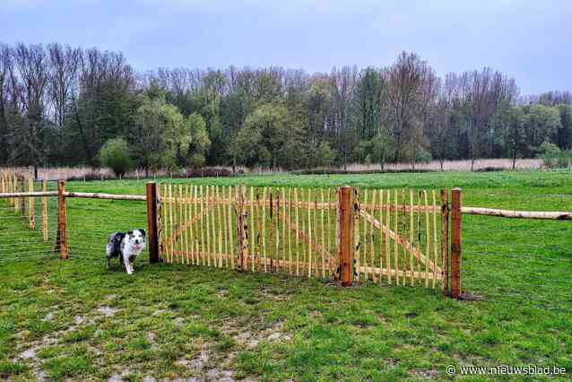 Hondenweide tijdelijk gesloten