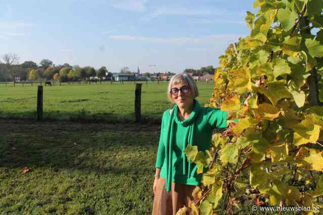 Wijnmakerskoppel Hilde (62) en Jean-Pierre (66) beleeft horrorseizoen: “We zullen dit jaar vlug uitverkocht zijn”