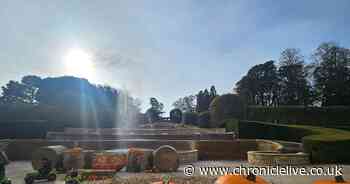 Alnwick Garden given autumnal makeover ahead of half term fun