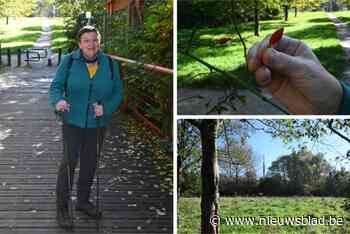 OP BOSSAFARI. In De Balokken met natuurgids Martine (67): “Dit is mijn kleine paradijs”