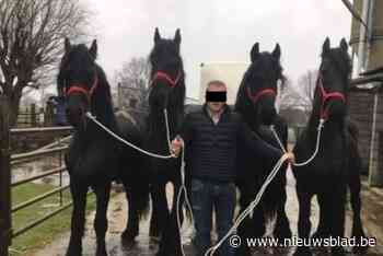 Sjoemelde fokkersfamilie met ‘paardenpaspoorten’ om het vlees van de dieren verkocht te krijgen? “Er ligt niets van bewijs op tafel”