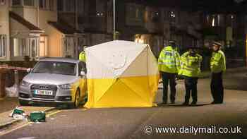 Woman and two children treated in hospital for stab wounds as police arrest a man over 'attempted murder'