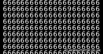 Just 1 percent of people can find the hidden 9 in a sea of 6s in less than 9 seconds