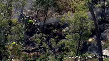 Two light planes collide in horrific fatal crash with smoke seen billowing into the sky