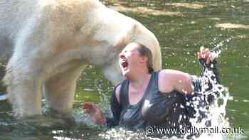 Moments from being ripped to pieces by polar bears... during trip to the zoo: Woman's miracle survival after jumping in 'to swim' with the deadly animals, sparking desperate rescue as beast gnawed on her