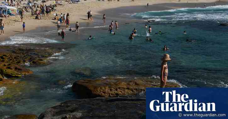 Popular Sydney beaches among quarter of NSW swimming spots polluted with faecal matter in past year