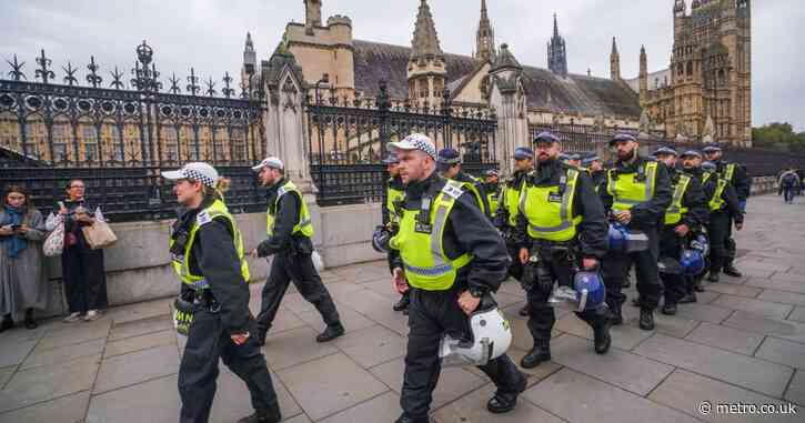 Laurence Fox bails on Tommy Robinson march in London in last minute