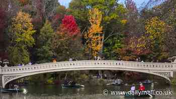 New York City's near-record drought is ruining beloved fall activities and turning Central Park leaves red weeks early