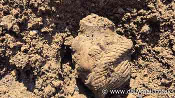 Stunned diggers unearth 1,800-year-old Roman carved head and gem depicting god of the countryside at site near Hadrian's Wall