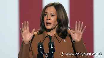 Kamala Harris responds to heckler screaming 'no more Gaza war' at Michigan rally with Michelle Obama