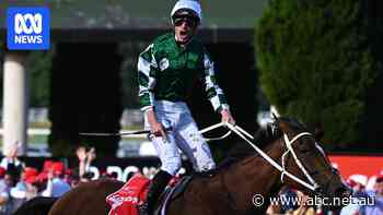 Connections to Cox Plate winner will 'let the dust settle' before making Melbourne Cup call