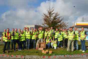 Rotary plant 2.500 tulpen op rotonde voor Wereld Polio Dag