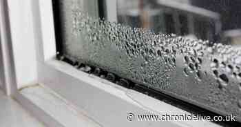 Woman's 55p hack to stop condensation forming on windows - and it's 'genius'