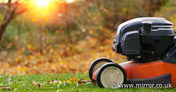 Warning to gardeners about when to stop cutting their lawn - or risk damage