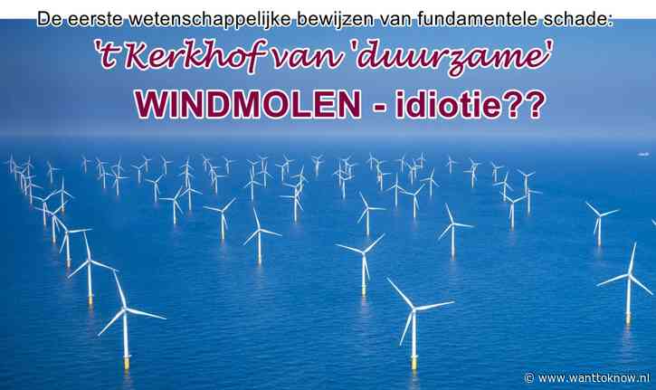 BEWIJS: grote schade zeeleven door windmolens…!!