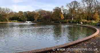 New plans for 'wildlife platform' at Roker Park's boating lake submitted to council