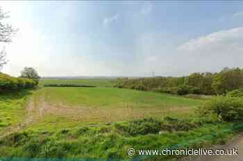 Plans for new 'battery energy storage' facility on Wearside as council chiefs receive proposals