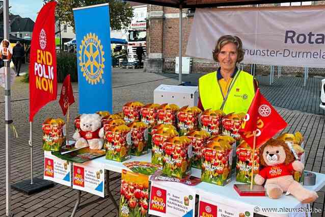 Rotary verkoopt poliotulpen om strijd aan te gaan tegen vreselijke ziekte