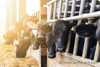 Government urged to promote new tech that enhances animal health