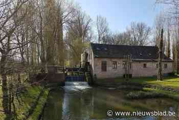 VMM koopt historische watermolen in Herne: “Zo kan het Markepad tot in Mark worden doorgetrokken”