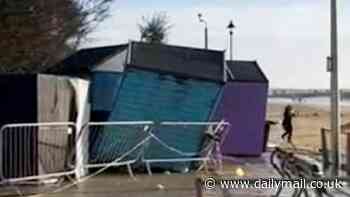 Heartstopping moment woman and her dog narrowly escape being hit by landslide as cliff falls onto beach huts