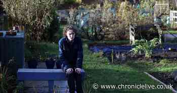 Callous thieves dig up and steal pumpkins from disabled children's allotment in Gosforth