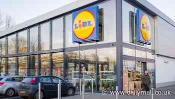 Lidl to open 10 more shops in Britain before Christmas - see if one is opening near YOU