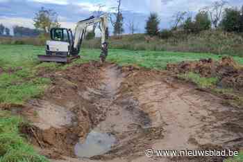 Provincie laat deze winter nieuwe poelen graven in Borgloon