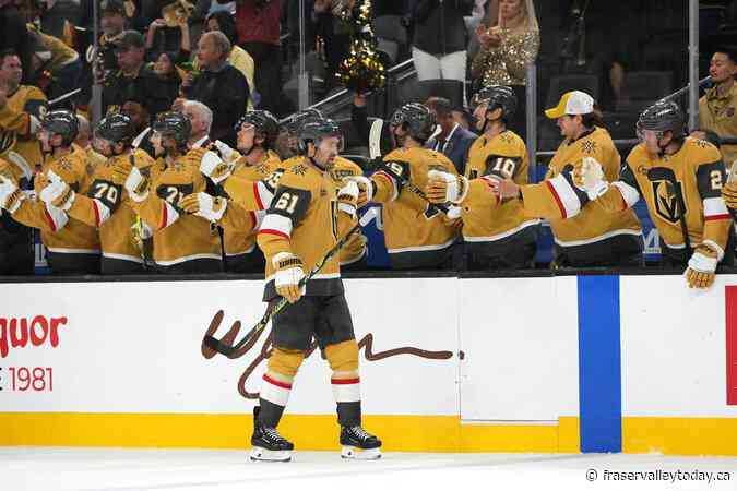 Vegas captain Stone, Preds goalie Saros, Stars centre Duchene named NHL three stars