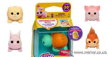 Tesco's top 10 2024 Christmas toys include seven under £20 and Bluey item